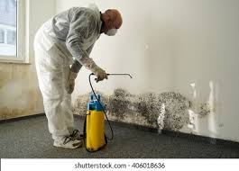 Best Mold Remediation for Healthcare Facilities  in Colona, IL